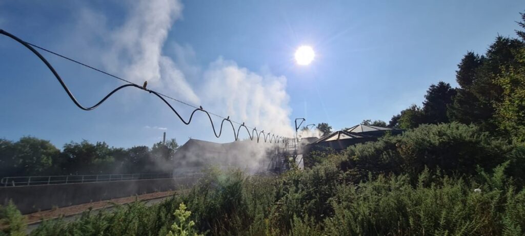 Steam from the cable near the forest