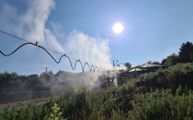 Steam from the cable near the forest