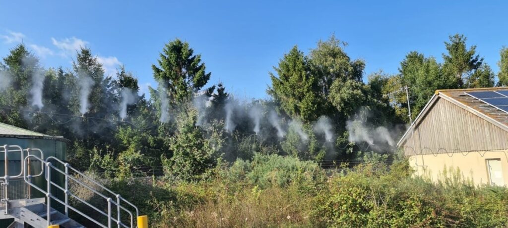 Steam from pipes near the forest