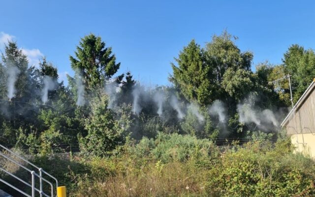 Steam from pipes near the forest