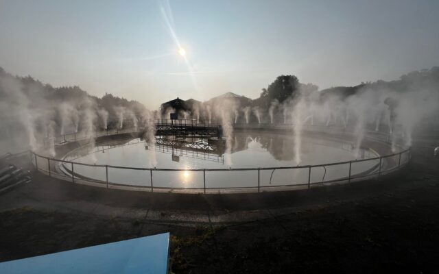 WhatsApp Image 2025-08-15 at 08.19.43_bf7897c3